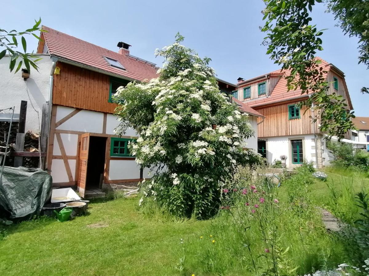Ferienwohnung Villa Claudia Dresden Exterior photo